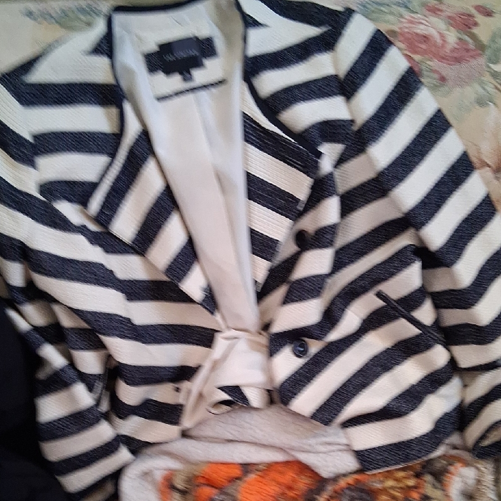 The Limited Navy and White Striped Blazer